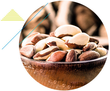 nuts nuts